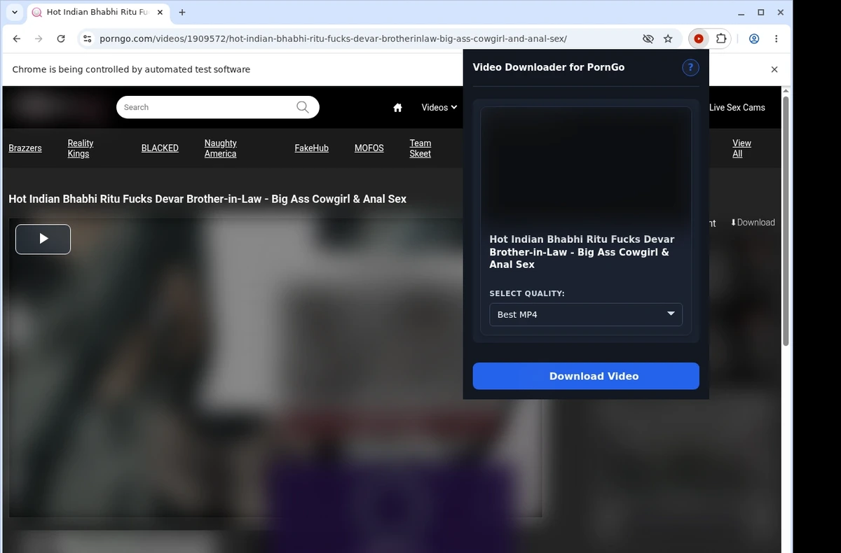 PornGo Downloader ready state screenshot