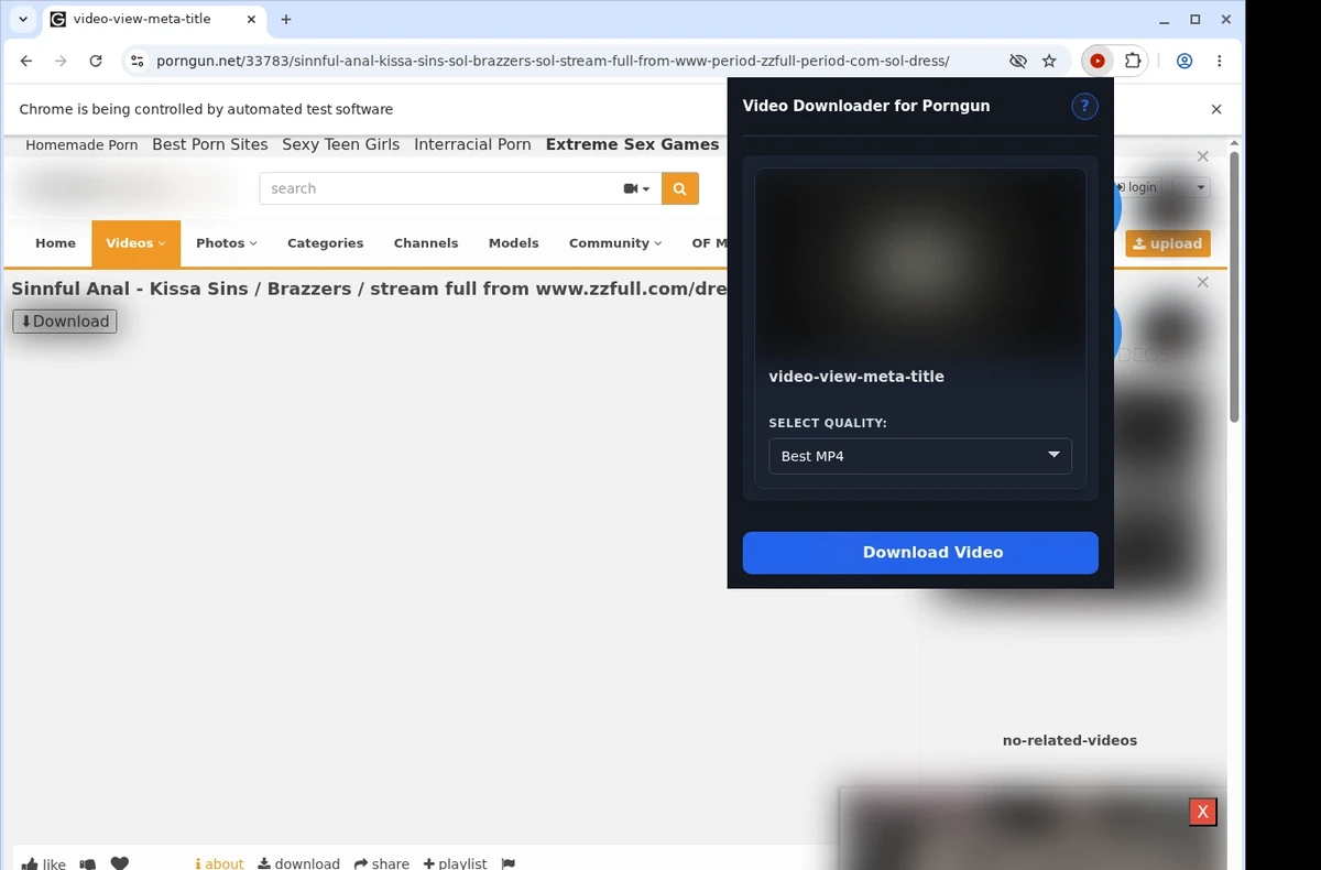 PornGun Downloader ready state screenshot