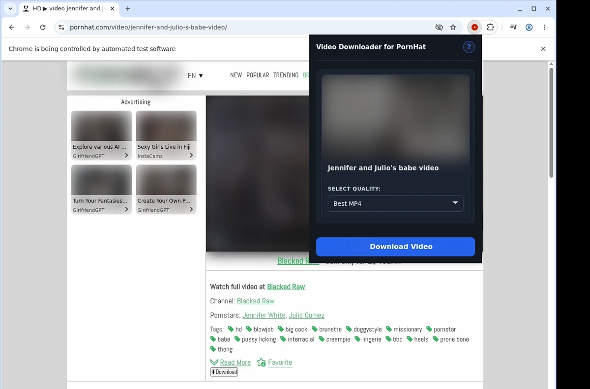 PornHat Video Downloader ready state screenshot