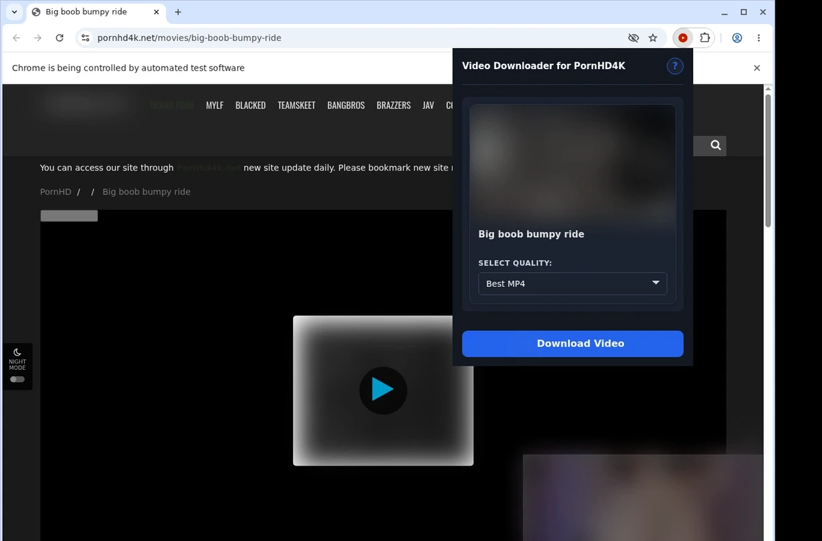 PornHD4K Downloader ready state screenshot