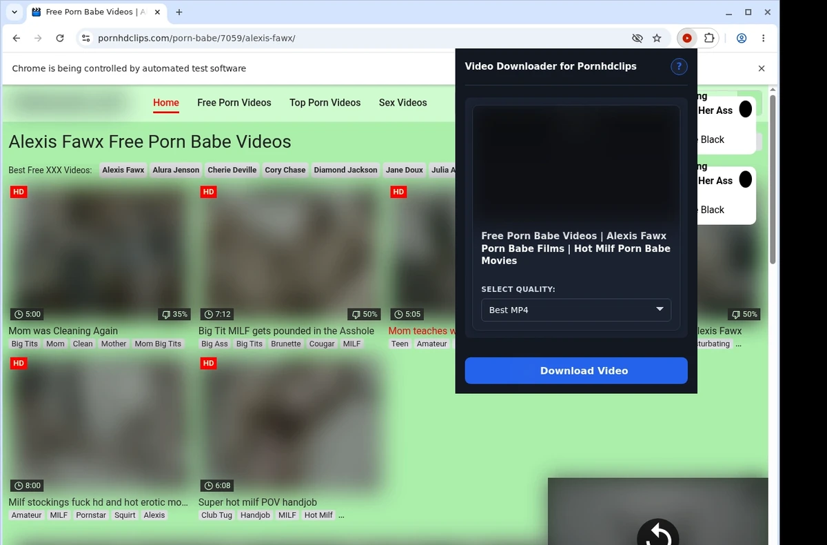 PornHDClips Downloader for SERP Apps ready state screenshot