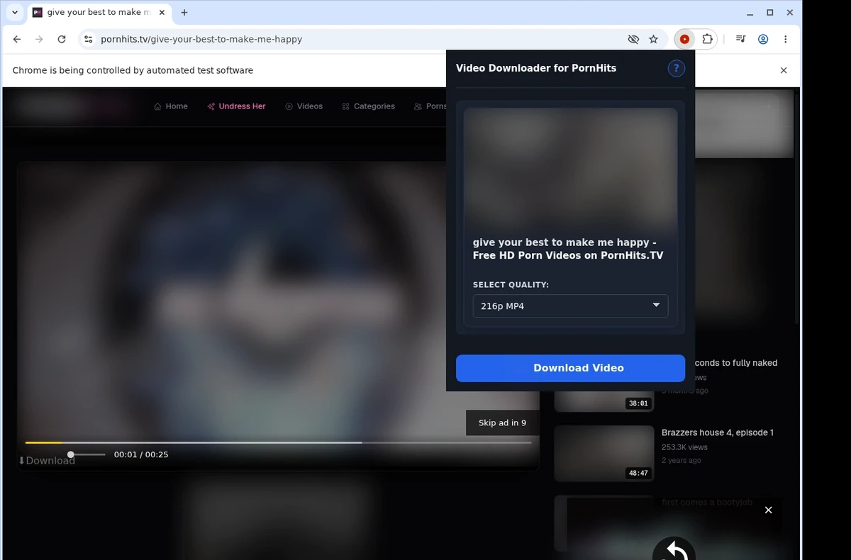 PornHits Video Downloader ready state screenshot