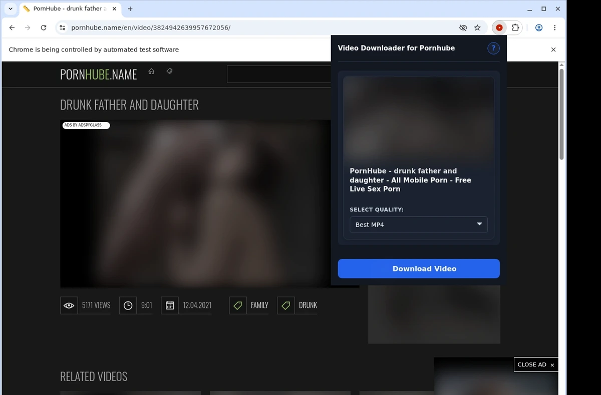 Pornhube Downloader for SERP Apps ready state screenshot