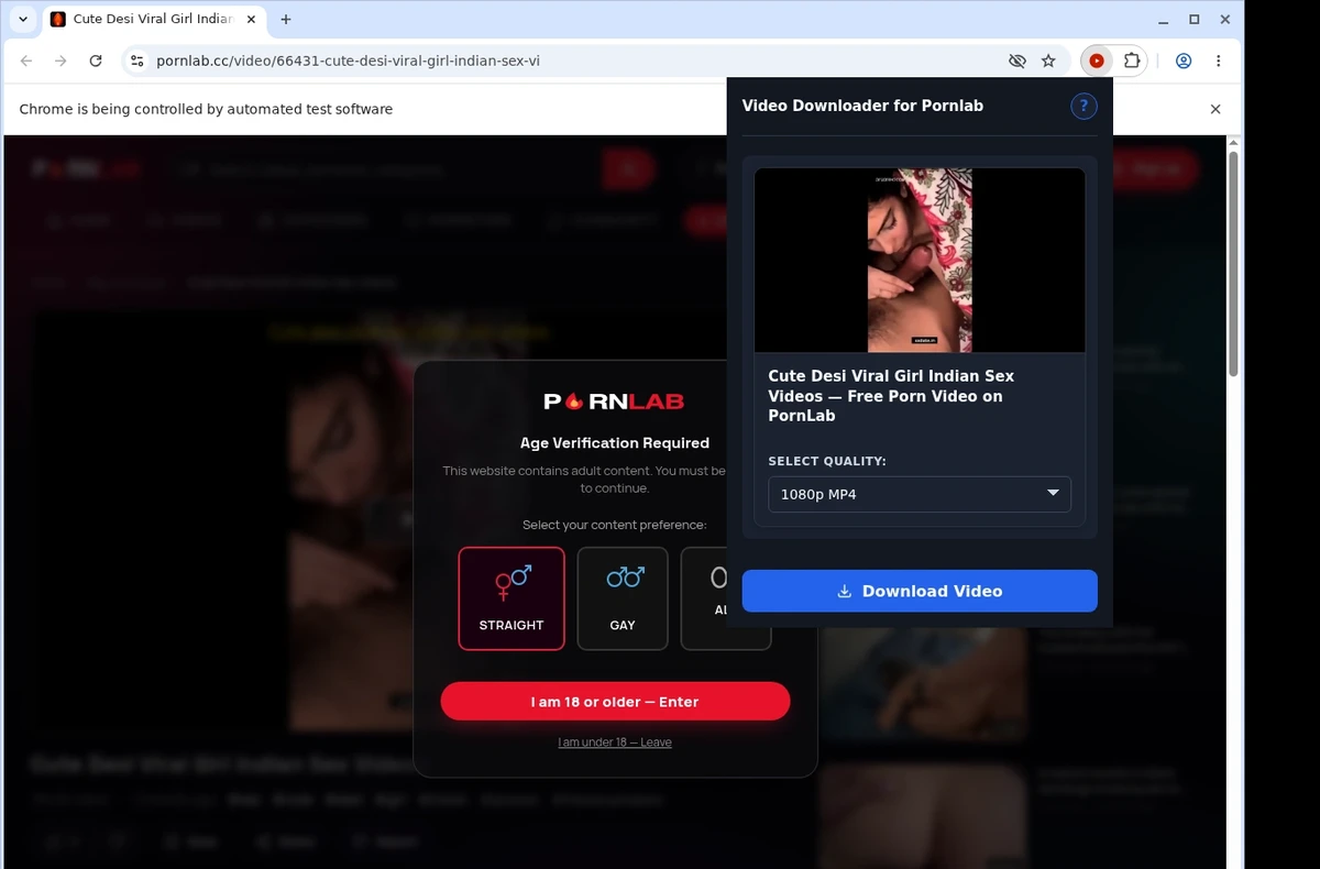PornLab Video Downloader ready state screenshot