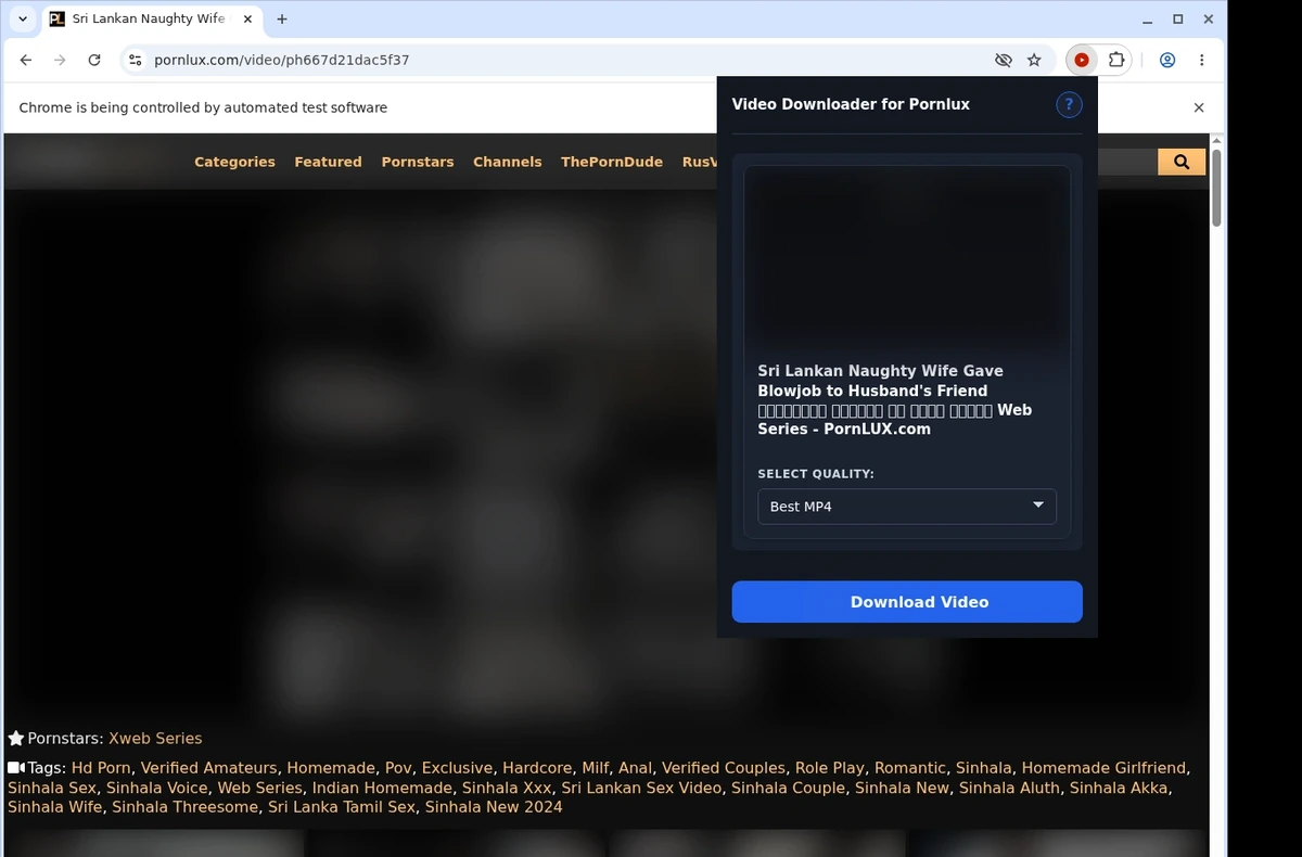 PornLux Video Downloader ready state screenshot