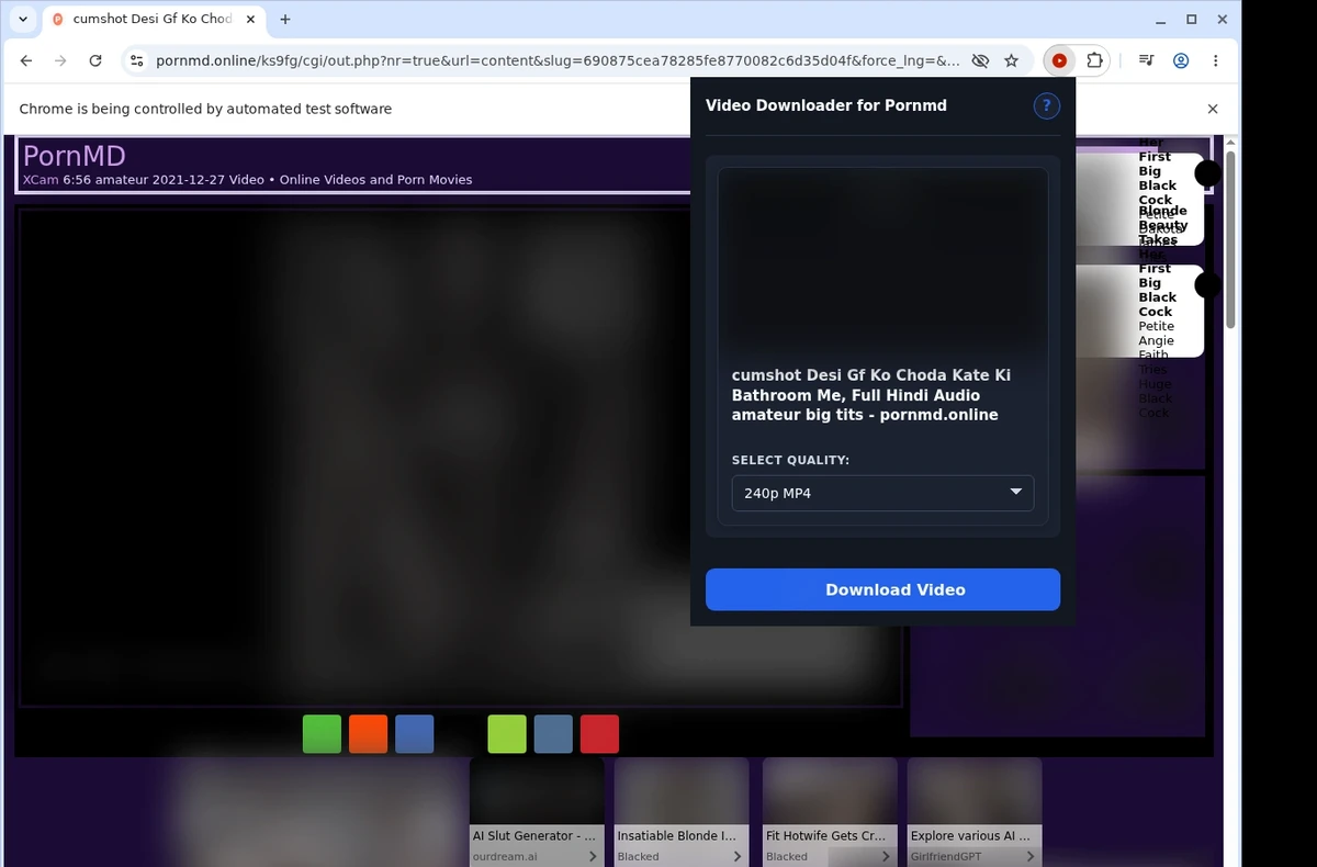 PornMD Downloader ready state screenshot