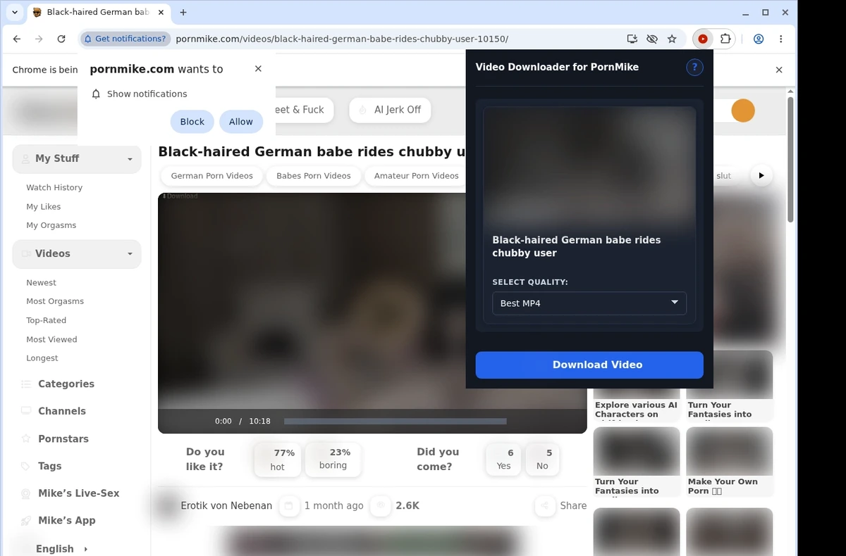 PornMike Video Downloader ready state screenshot