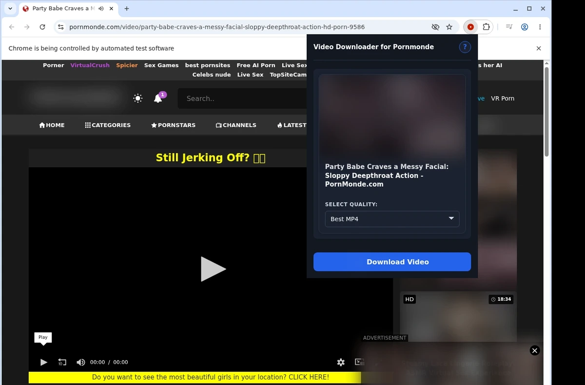 Pornmonde Video Downloader ready state screenshot