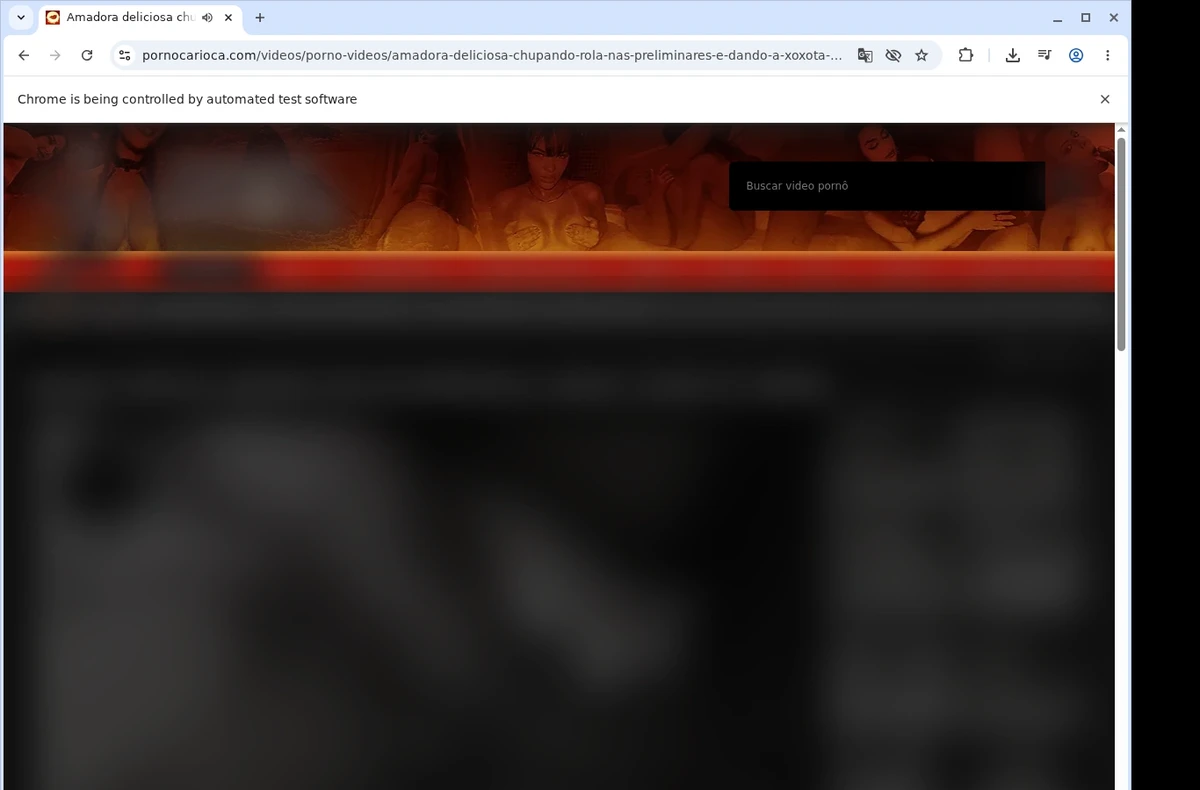 PornoCarioca Video Downloader ready state screenshot