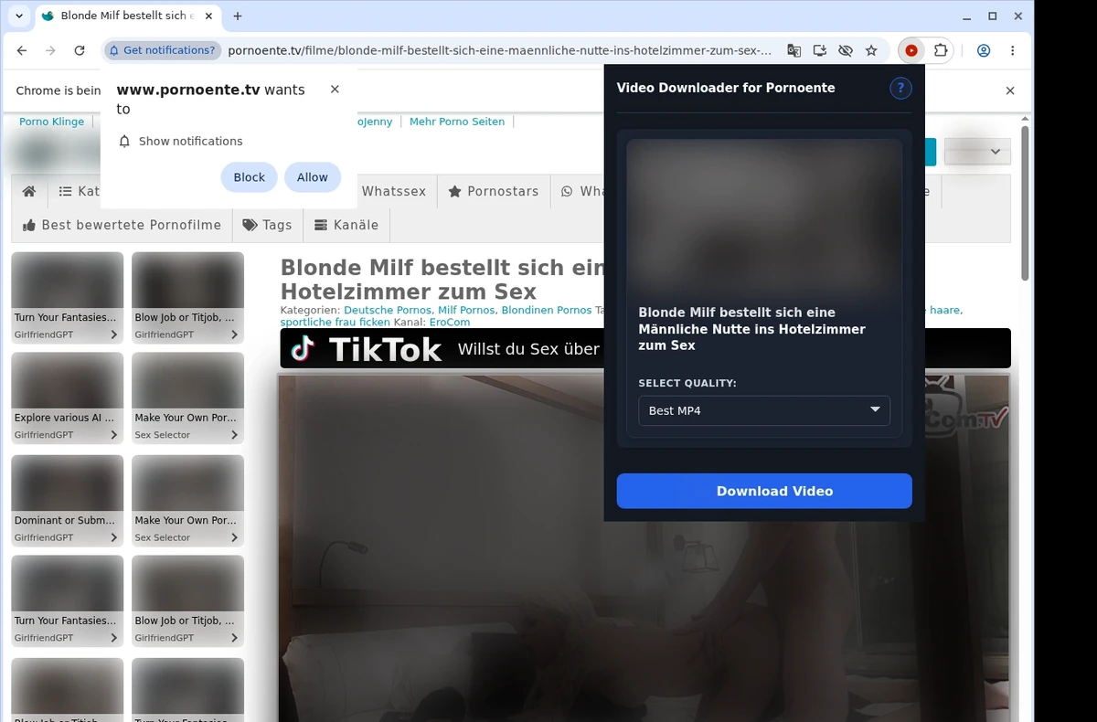 PornoEnte Video Downloader ready state screenshot