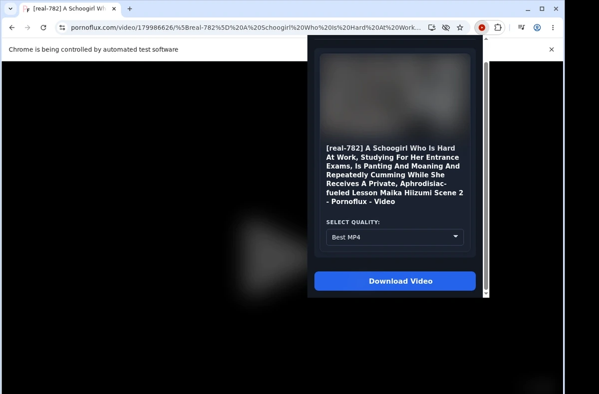 PornoFlux Video Downloader ready state screenshot