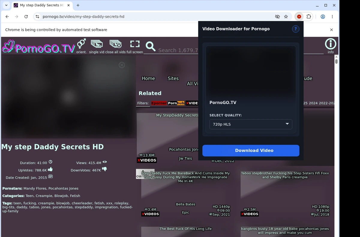 PornoGo Video Downloader ready state screenshot