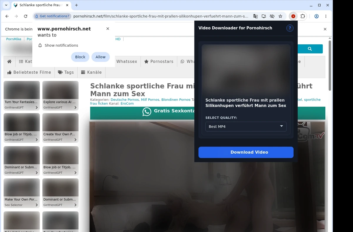 PornoHirsch Video Downloader ready state screenshot