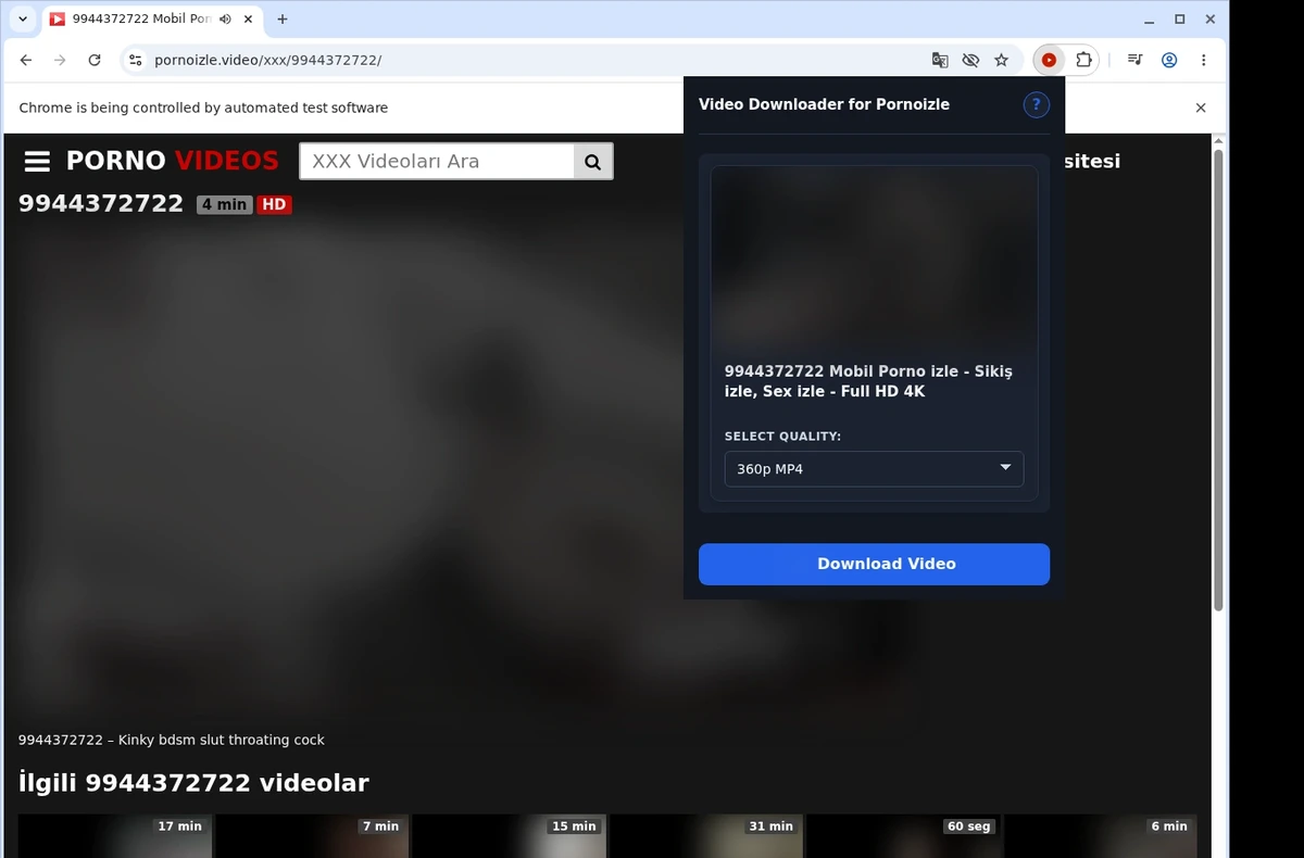 PornoIzle Video Downloader ready state screenshot