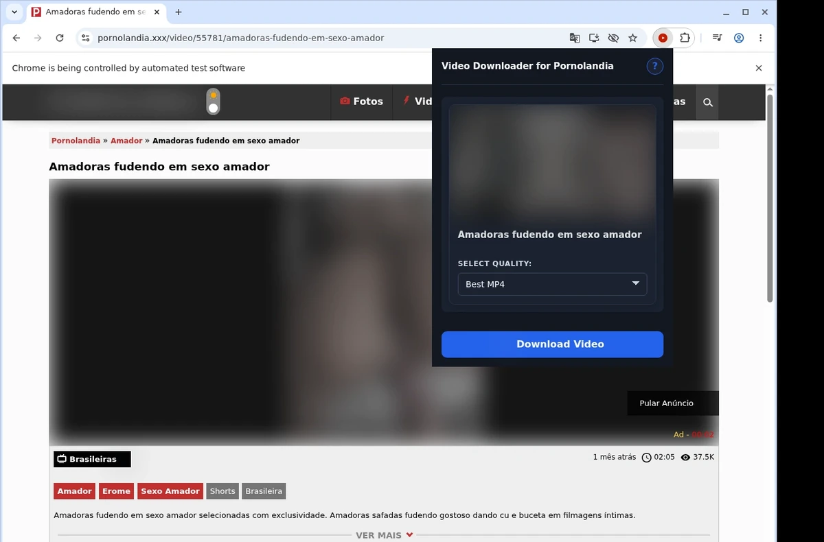PornoLandia Video Downloader ready state screenshot