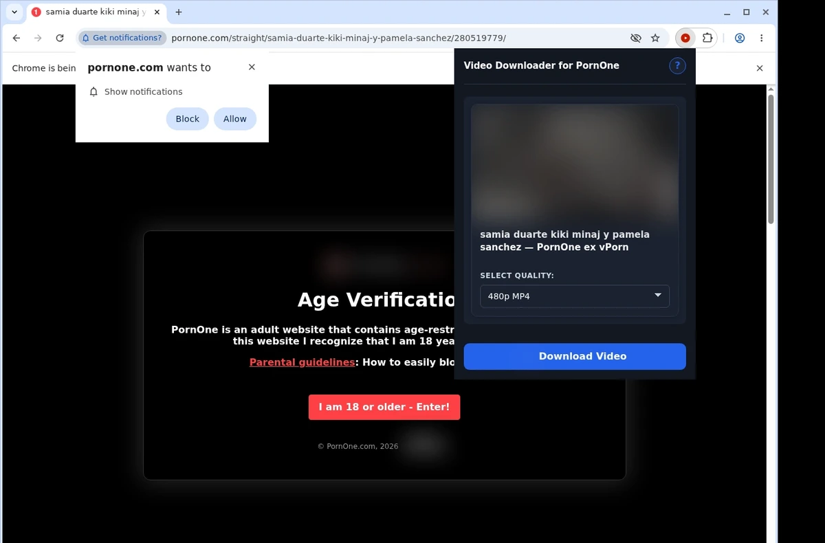 PornOne Video Downloader ready state screenshot