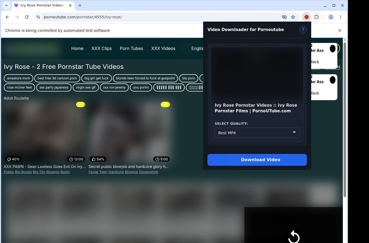 Pornotube Video Downloader ready state screenshot
