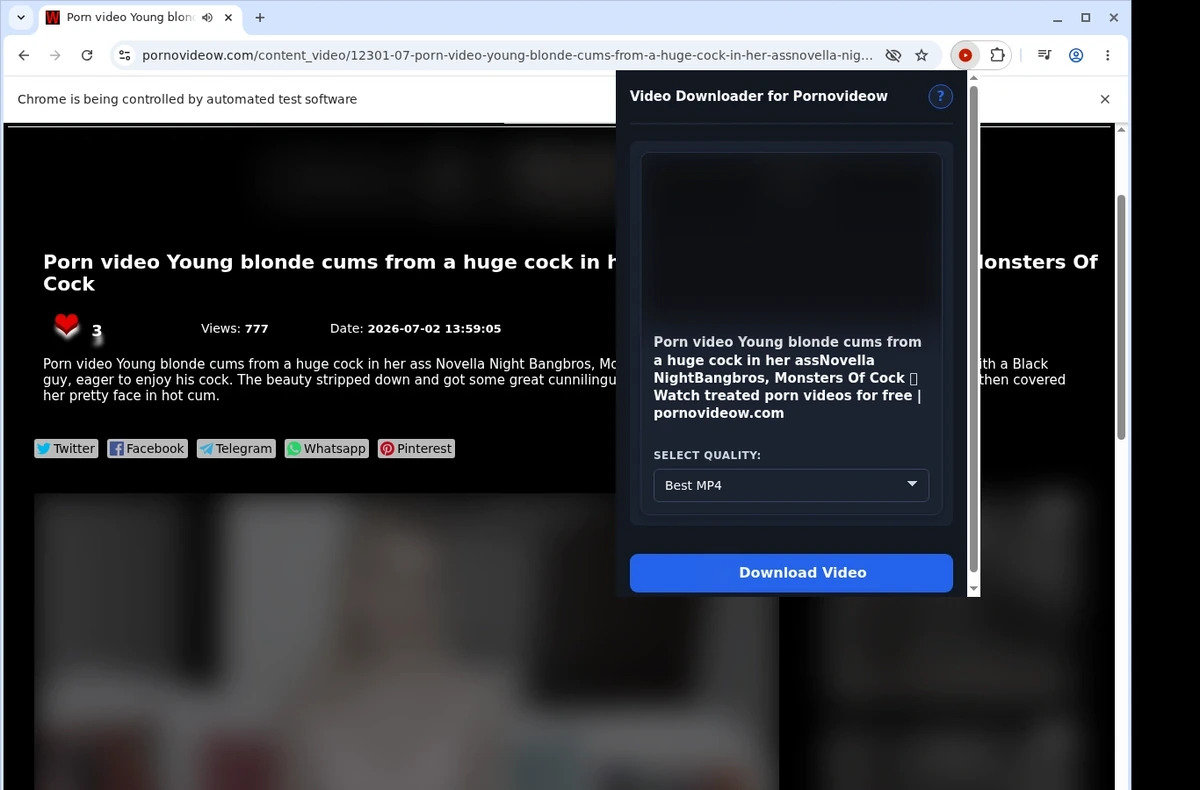 PornoVideow Downloader ready state screenshot