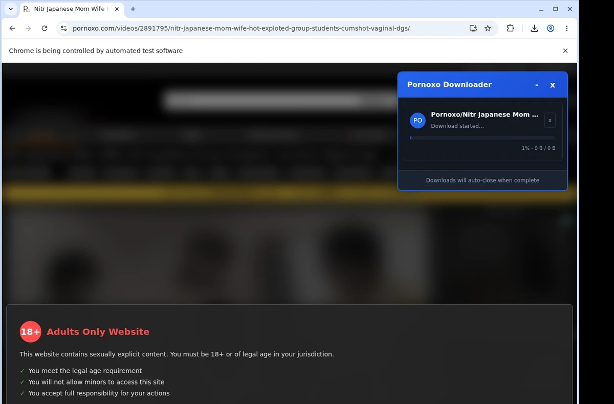 Pornoxo Video Downloader ready state screenshot