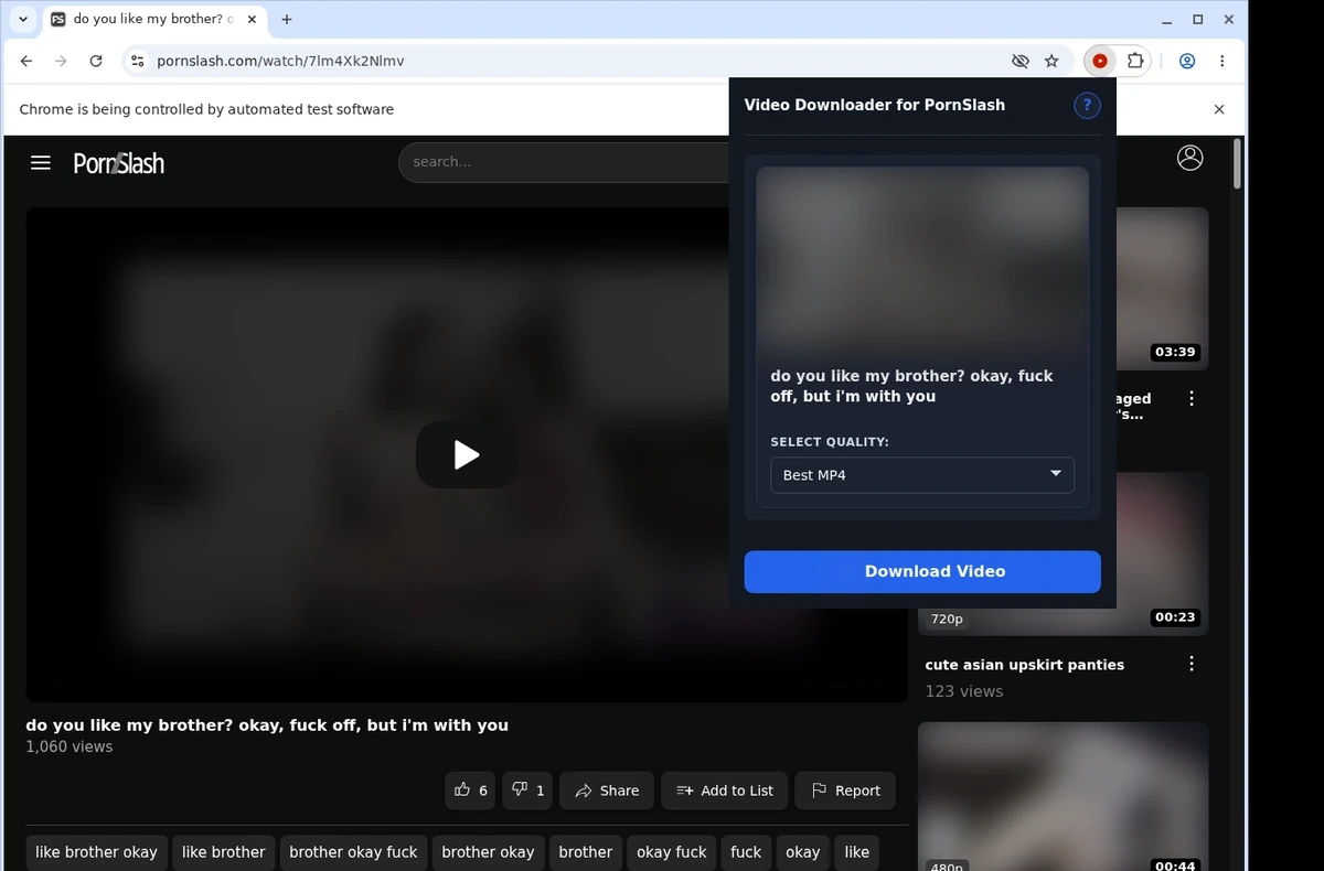 PornSlash Video Downloader ready state screenshot