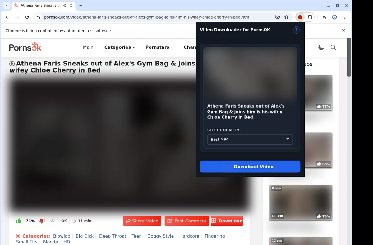 PornsOK Video Downloader ready state screenshot