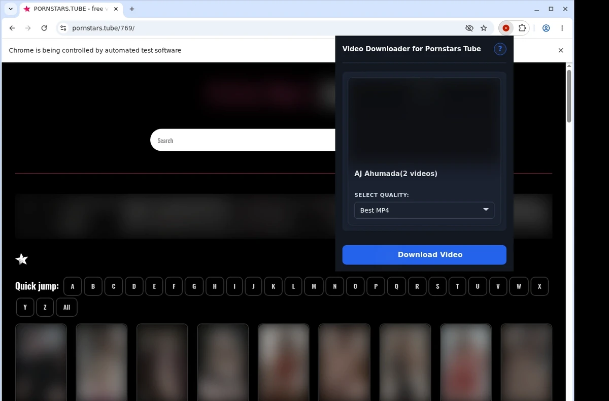 Pornstars Tube Video Downloader ready state screenshot