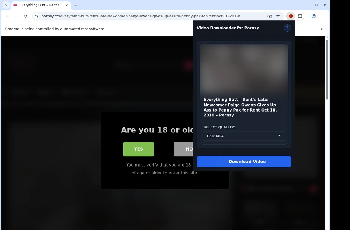 Pornsy Video Downloader ready state screenshot