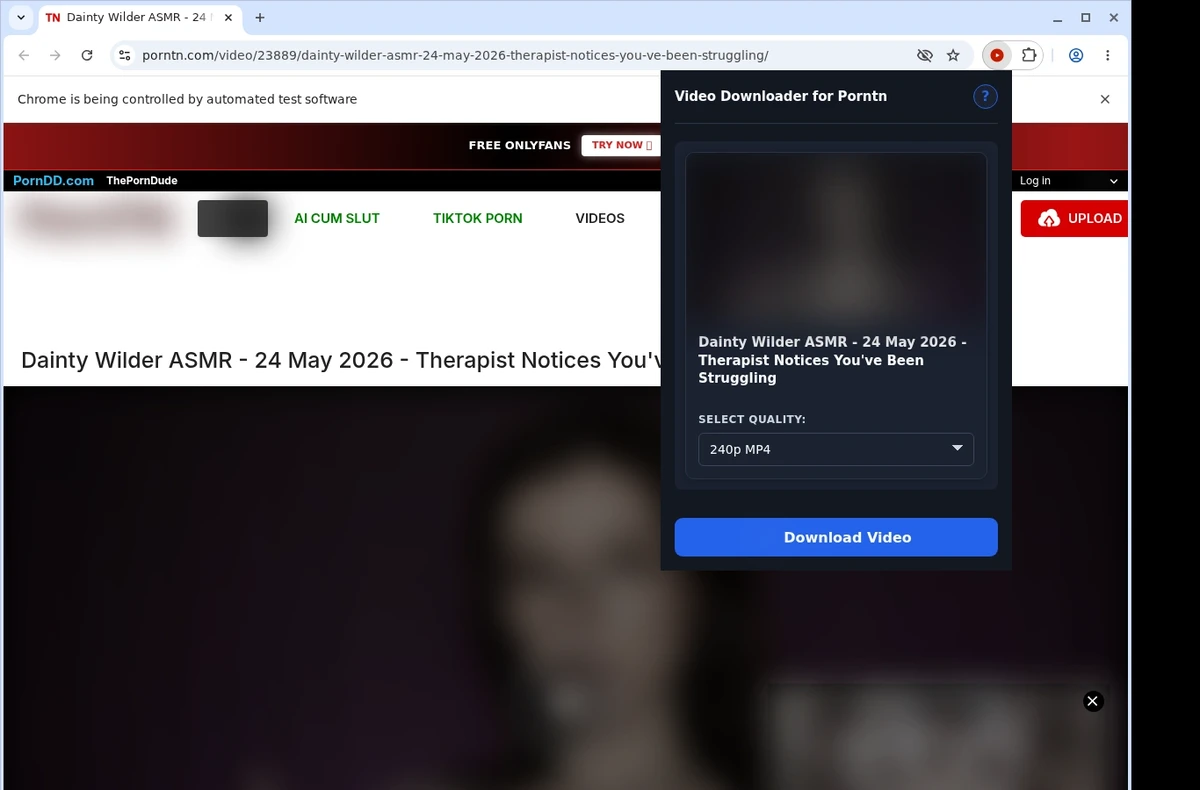 PornTN Video Downloader ready state screenshot