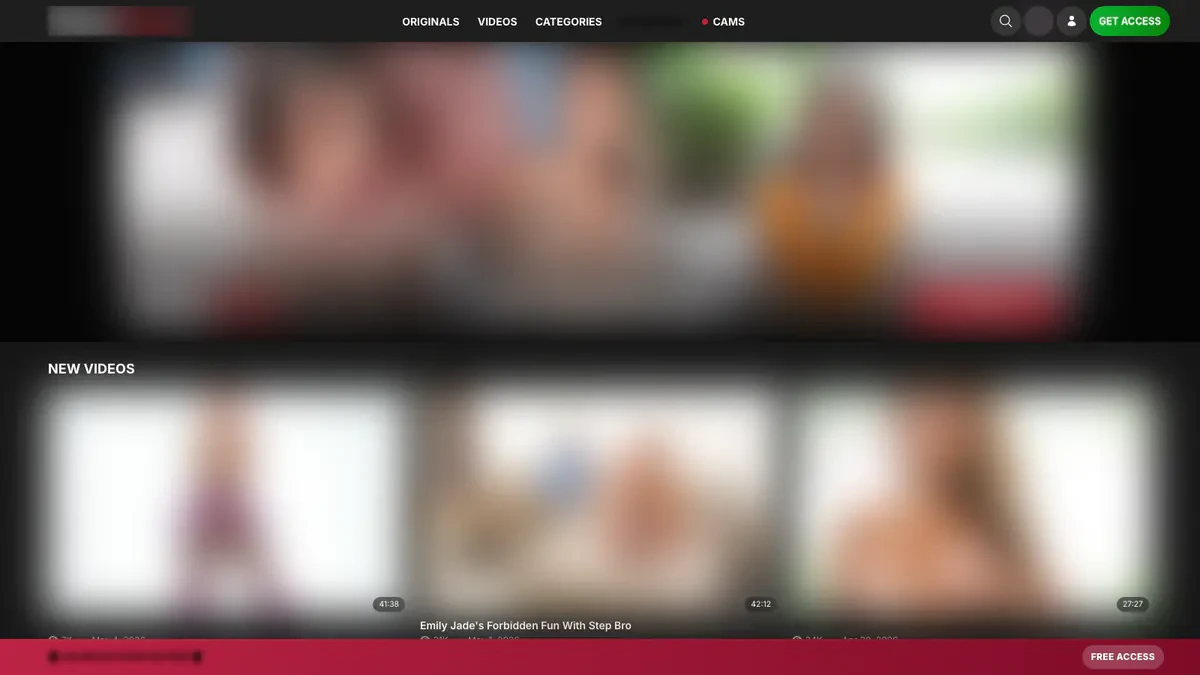 PornTube Downloader website preview