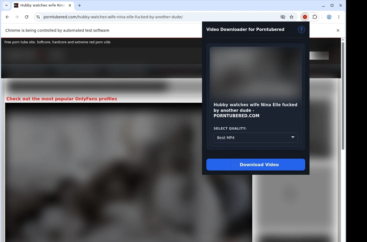 PornTubeRed Downloader ready state screenshot