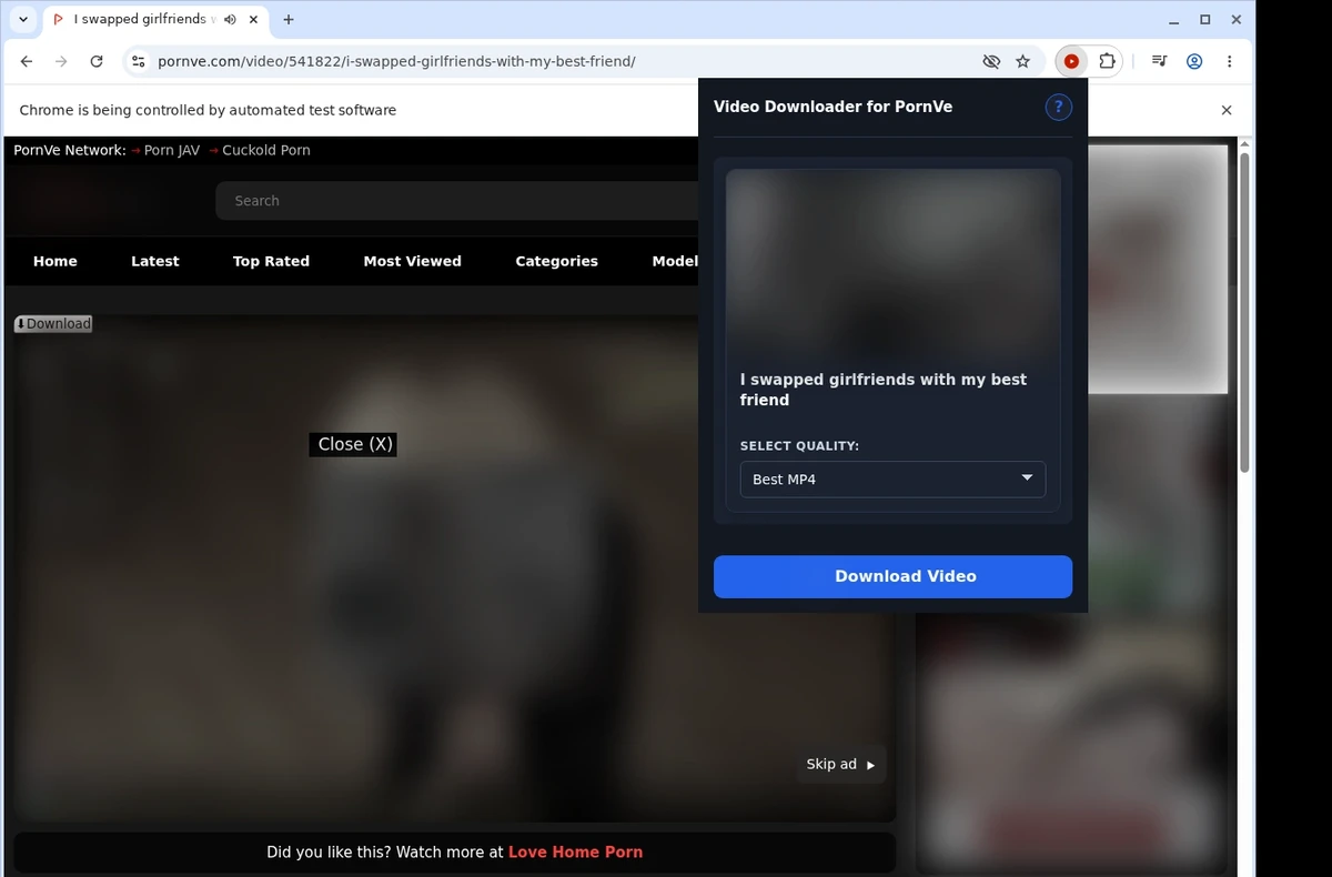 PornVe Video Downloader ready state screenshot