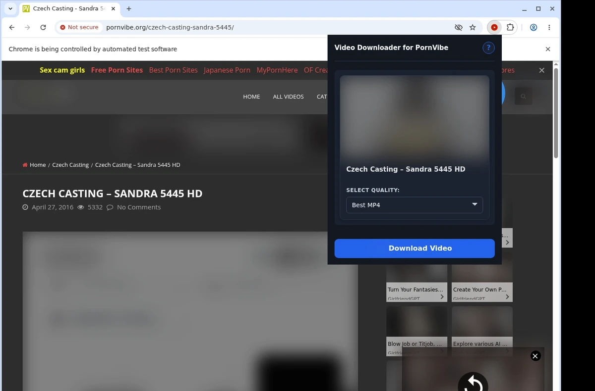 PornVibe Video Downloader ready state screenshot