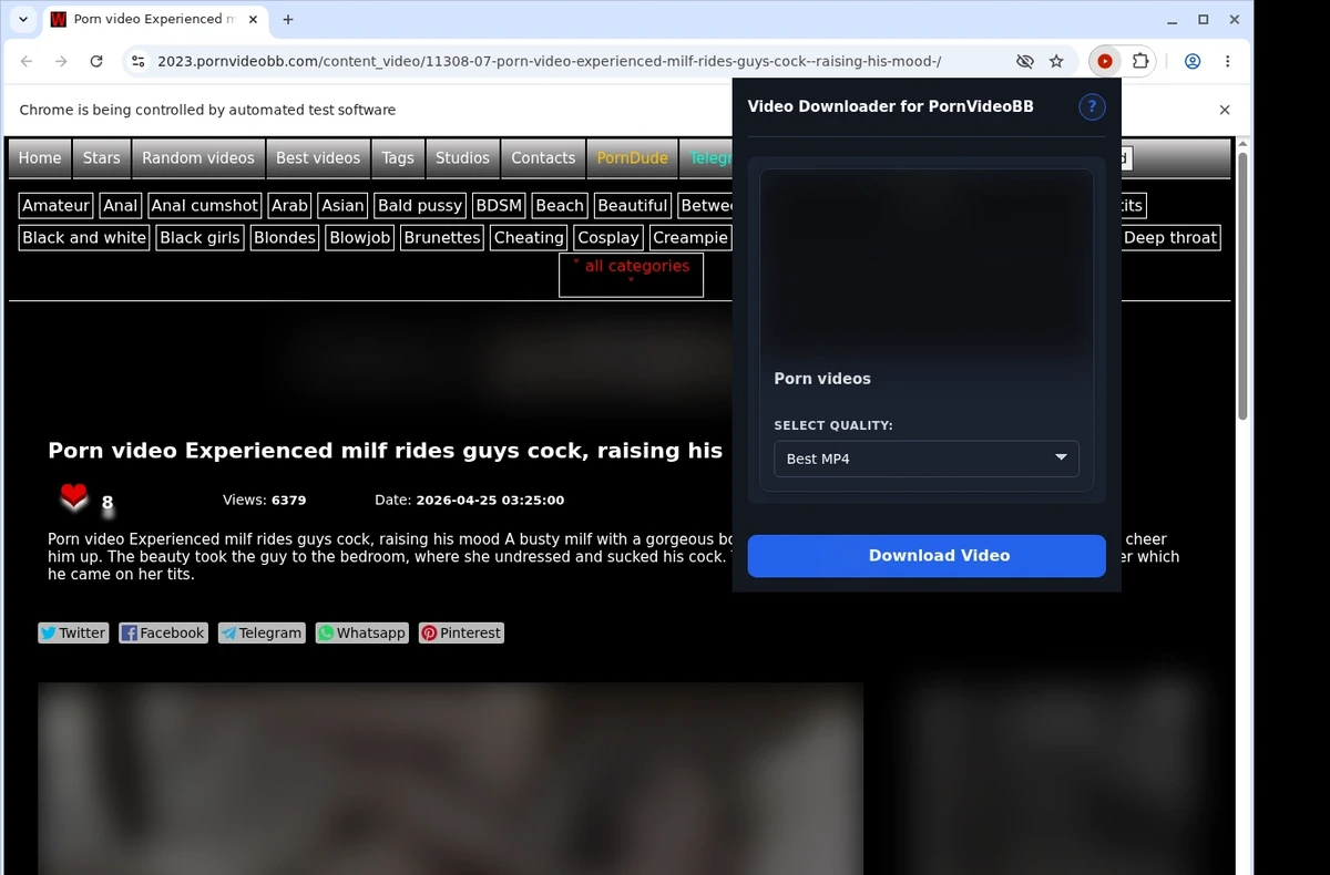 PornVideoBB Video Downloader ready state screenshot