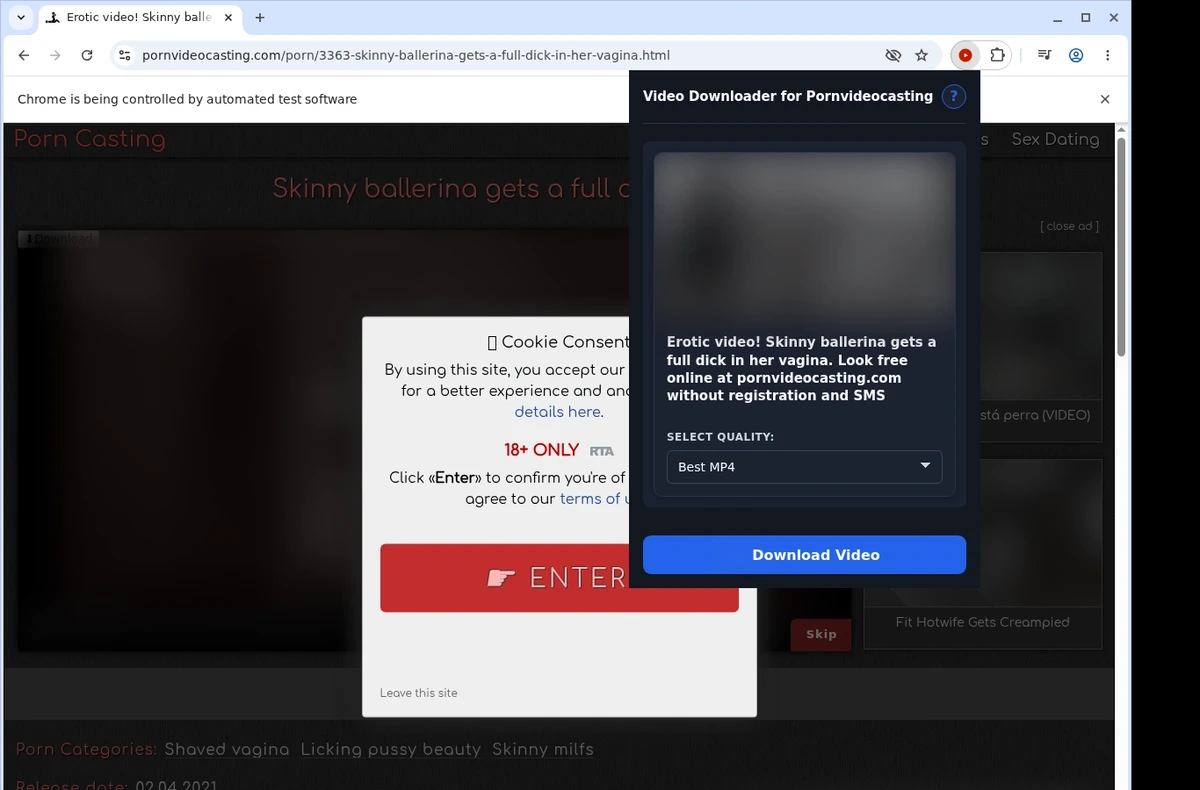 Porn Video Casting Downloader ready state screenshot