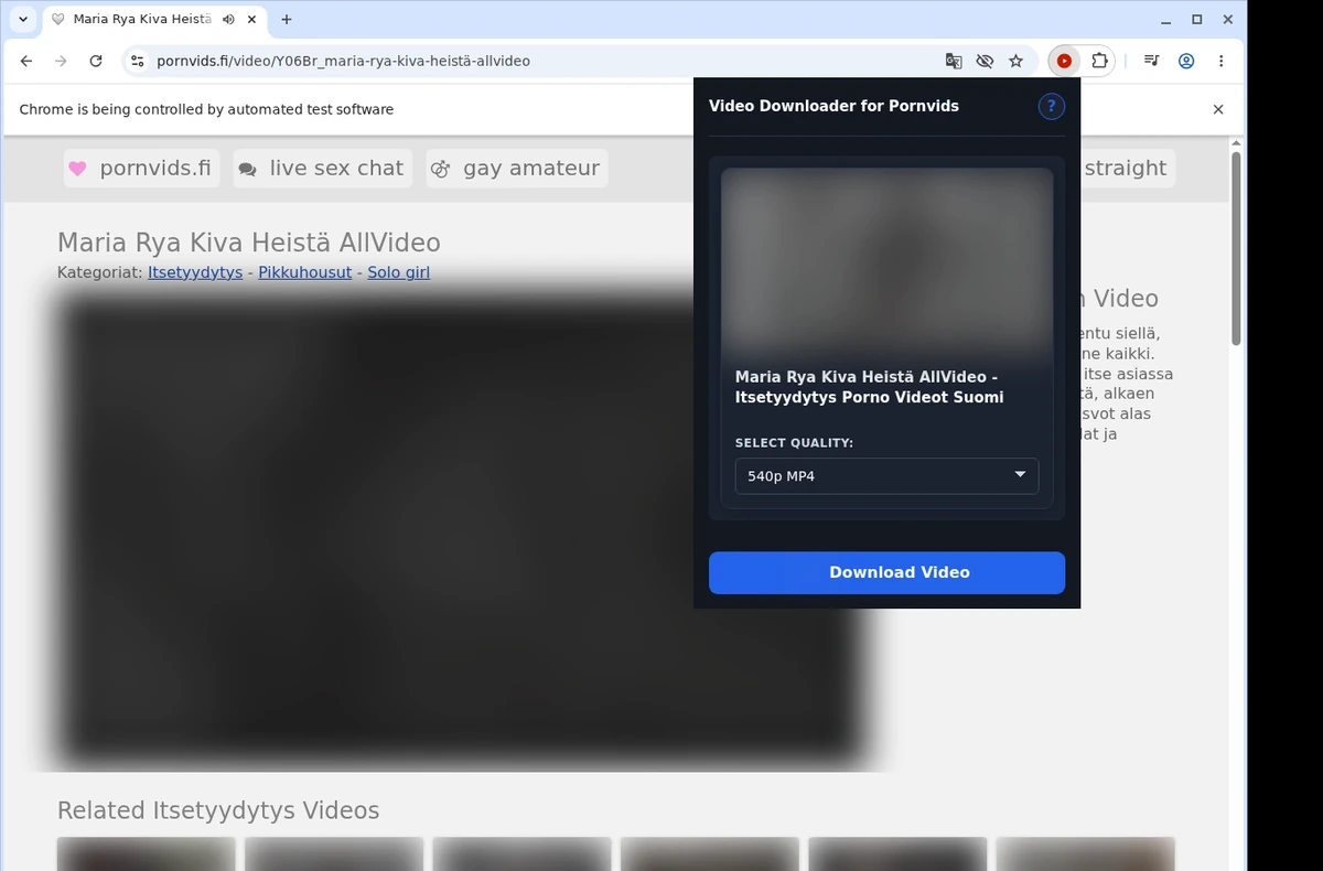 PornVids Downloader ready state screenshot