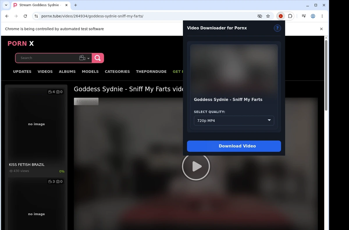 PornX Video Downloader ready state screenshot