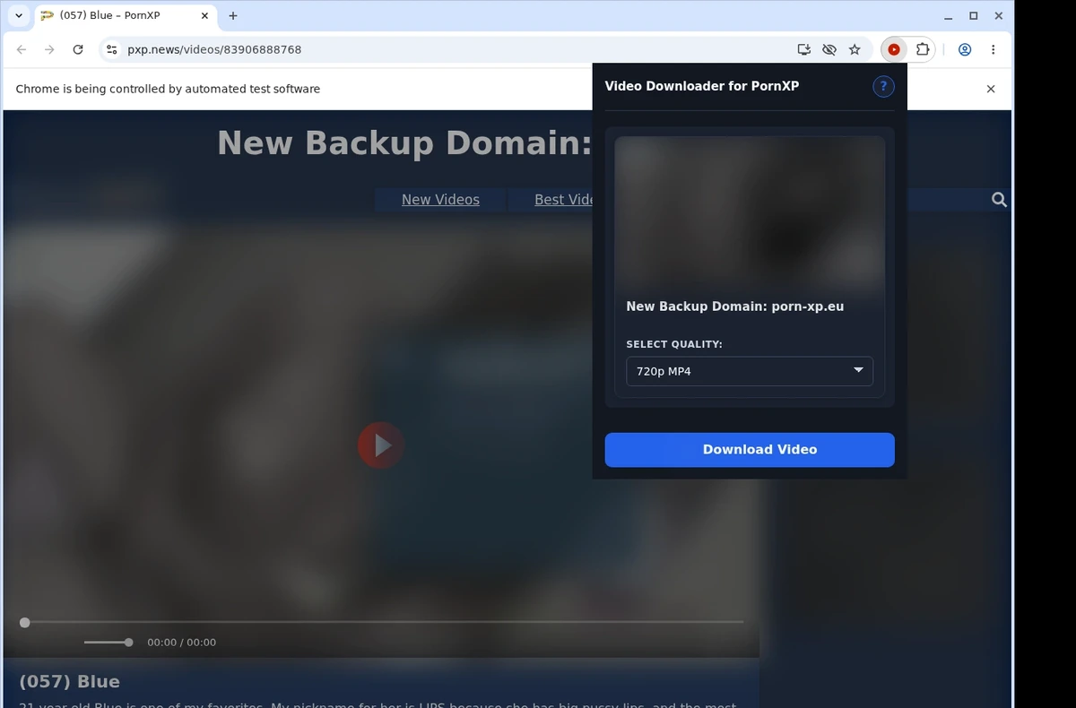 PornXP Video Downloader ready state screenshot
