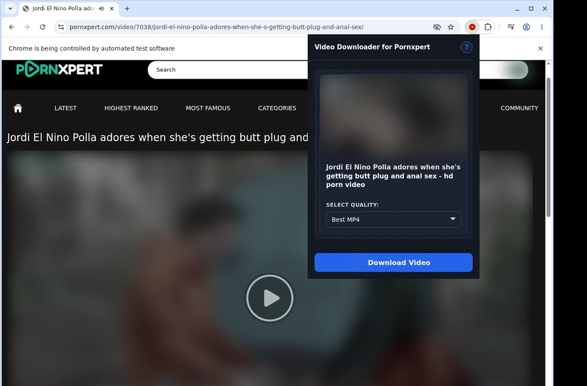 PornXpert Video Downloader ready state screenshot
