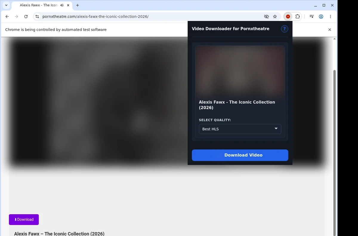 PornXTheatre Video Downloader ready state screenshot