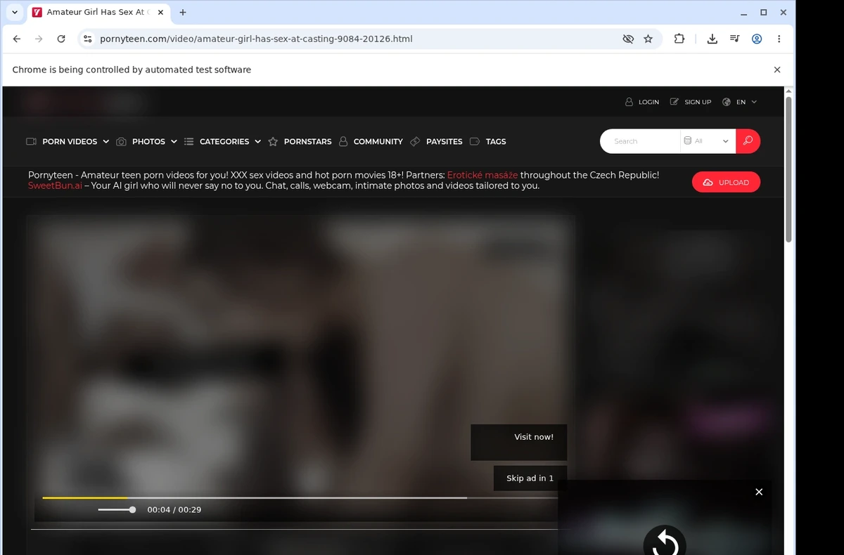 PornyTeen Video Downloader ready state screenshot