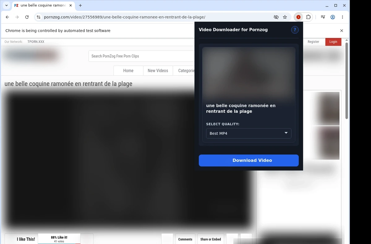 Pornzog Video Downloader ready state screenshot