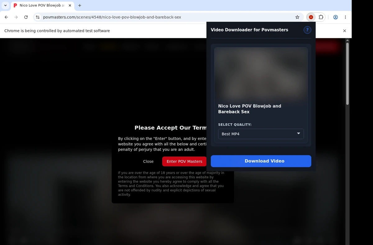 POVMasters Video Downloader ready state screenshot