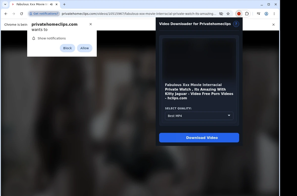 PrivateHomeClips Video Downloader ready state screenshot
