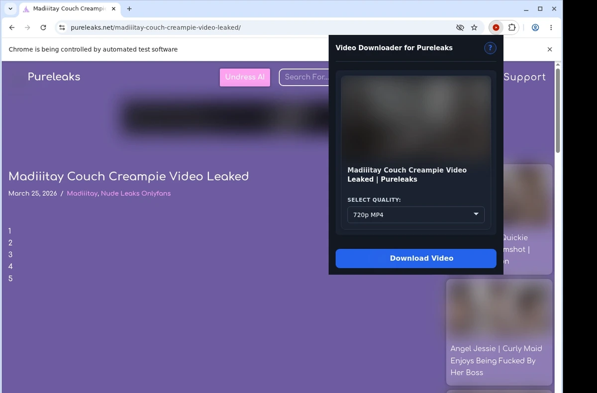 PureLeaks Video Downloader ready state screenshot
