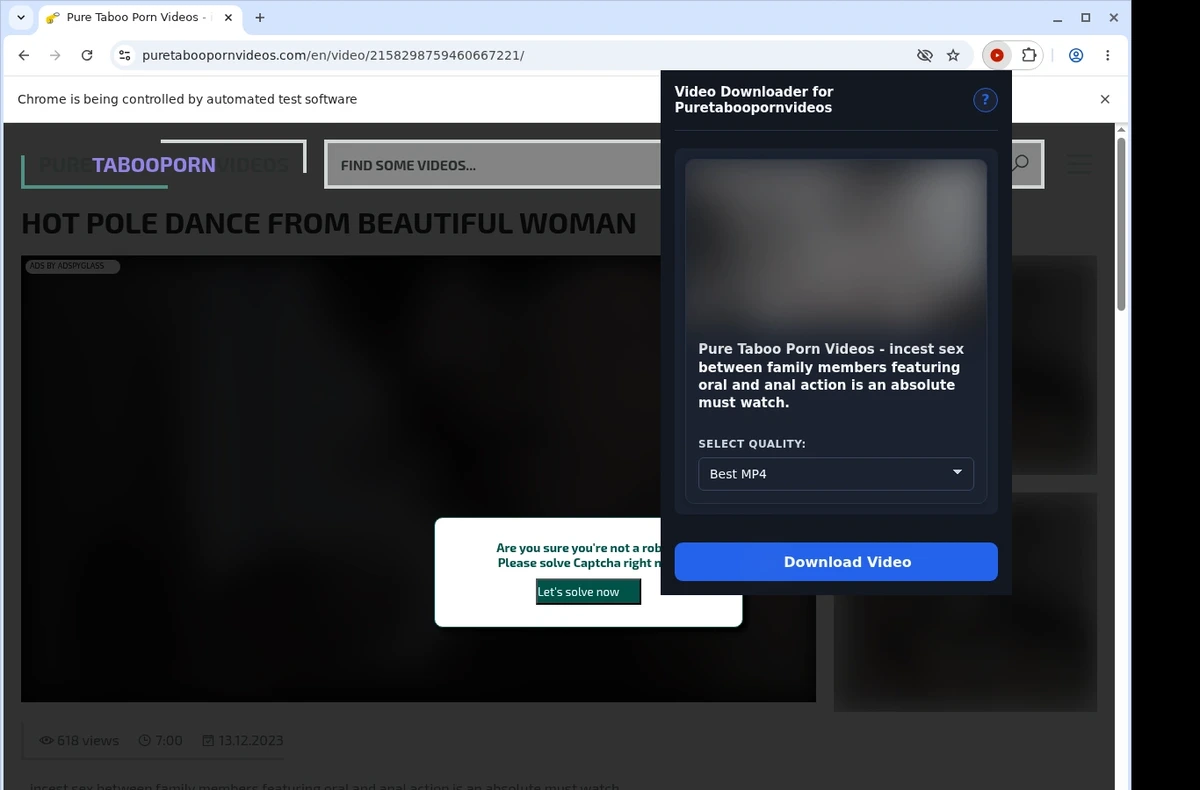 PureTabooPornVideos Video Downloader ready state screenshot