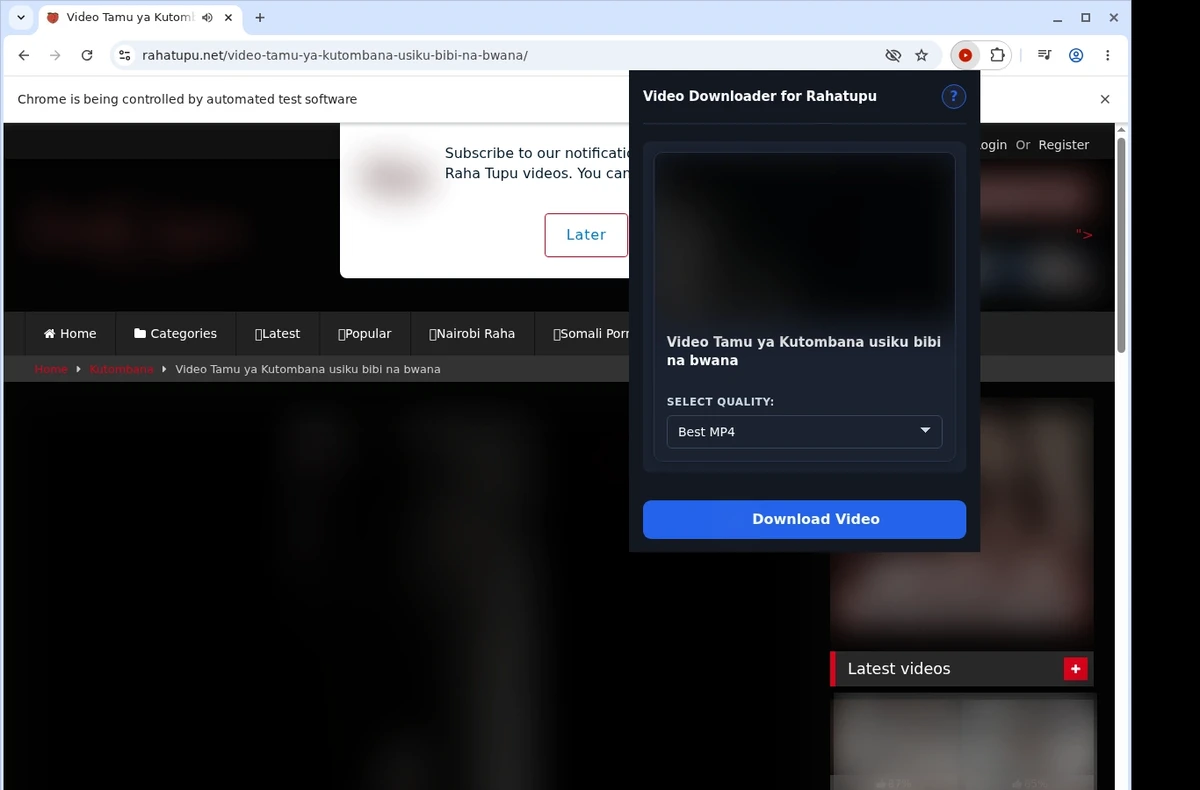 Rahatupu Video Downloader ready state screenshot