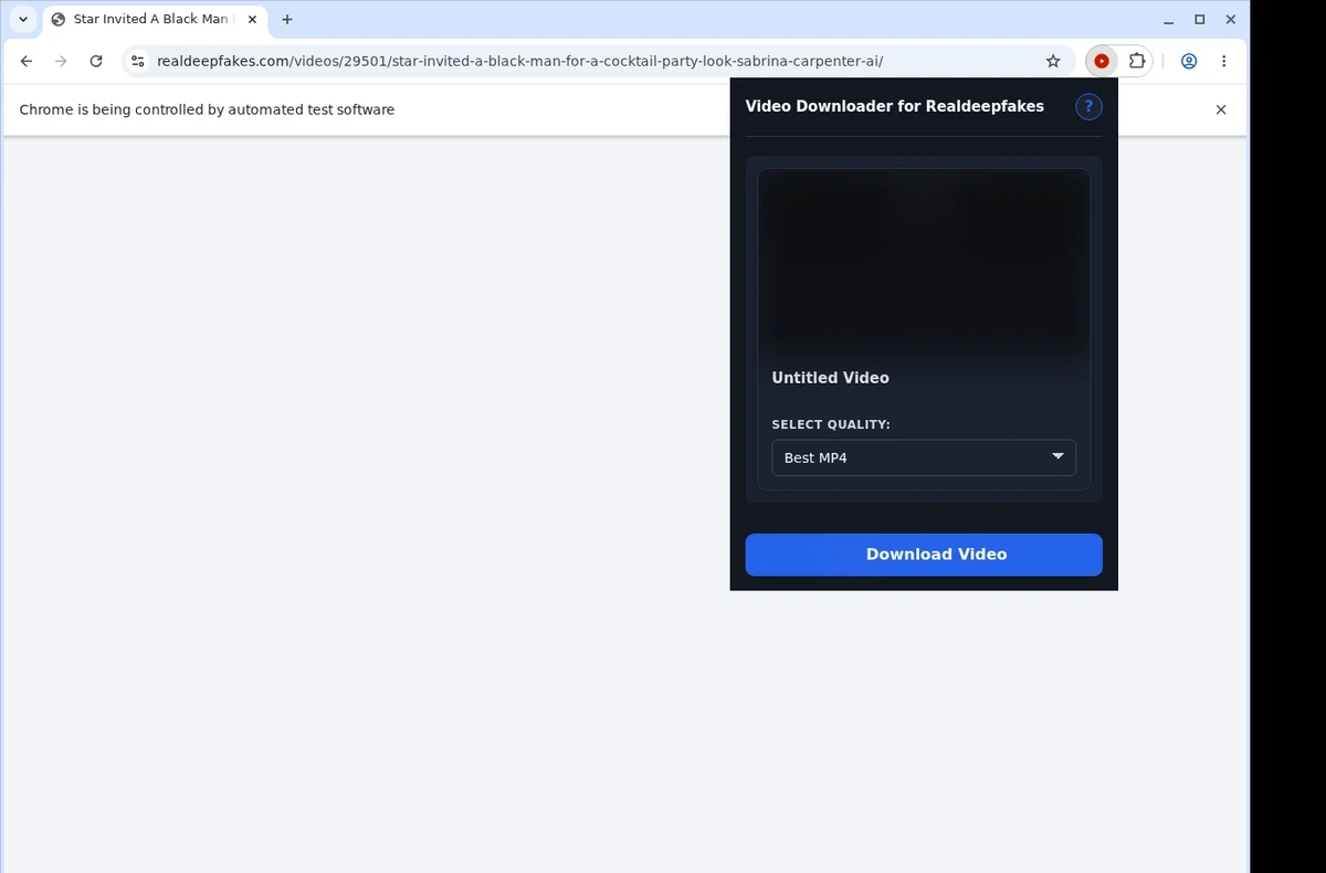 RealDeepFakes Video Downloader ready state screenshot