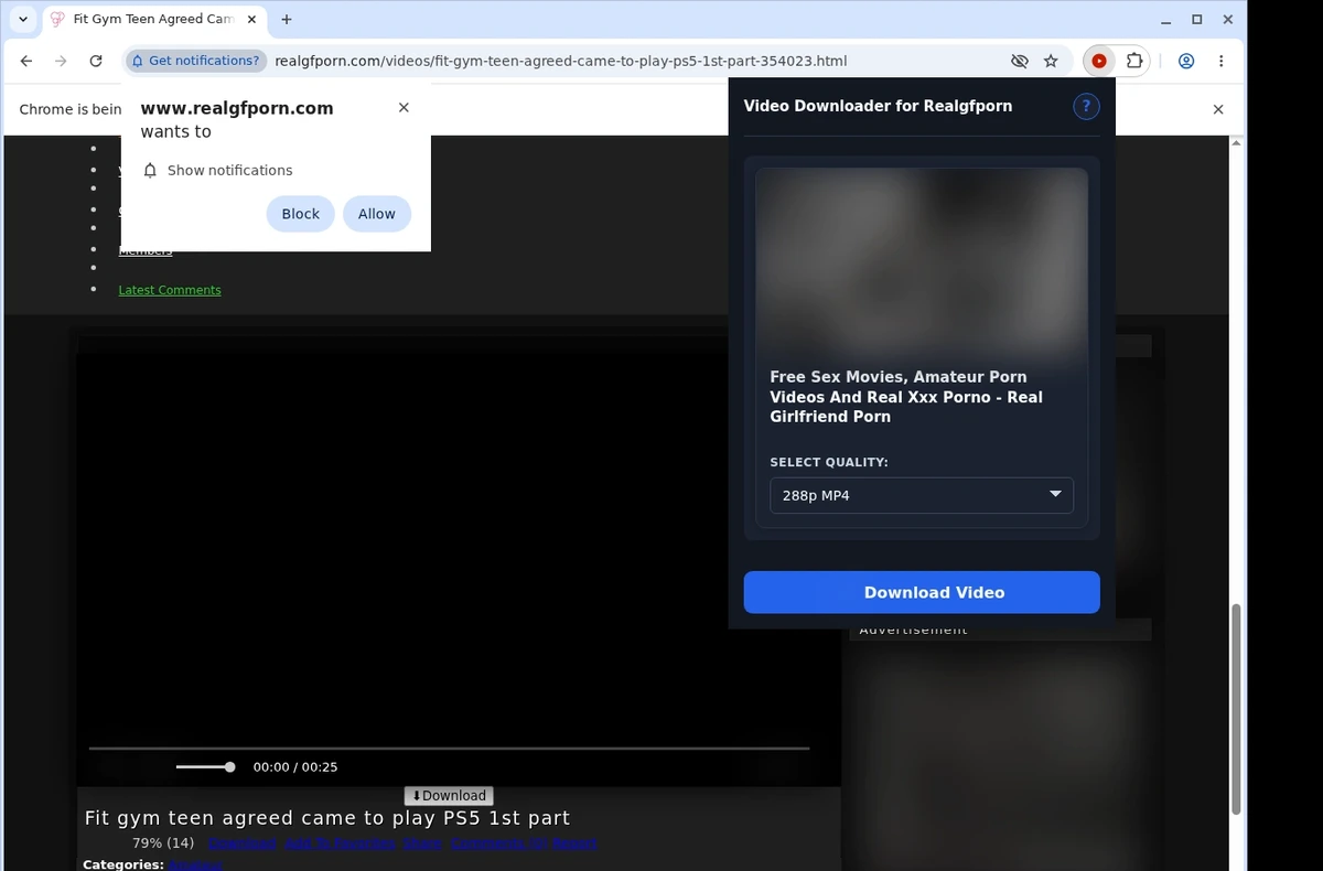 RealGFPorn Video Downloader ready state screenshot