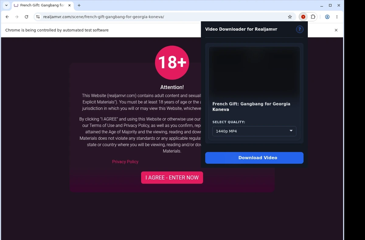 RealJamVR Video Downloader ready state screenshot