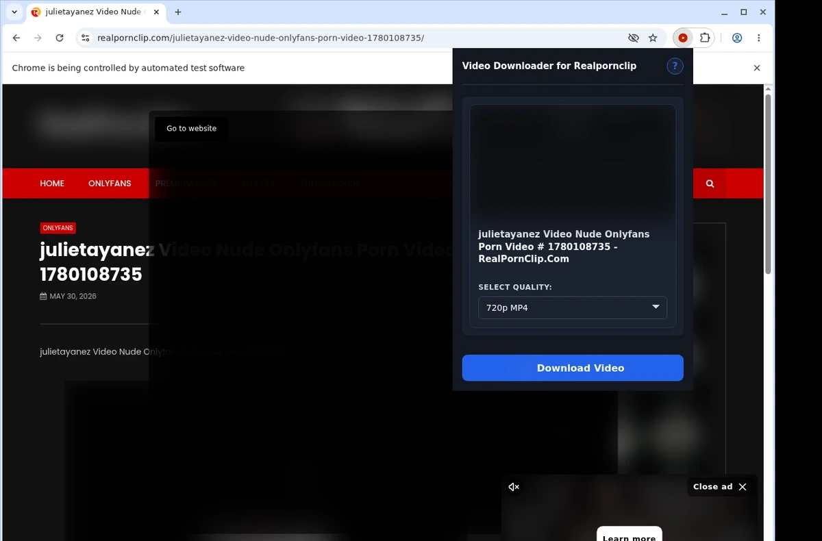 RealPornClip Video Downloader ready state screenshot